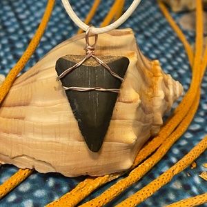 Shark Tooth Necklace